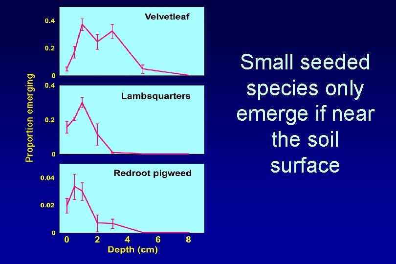 Small seeded species only emerge if near the soil surface 