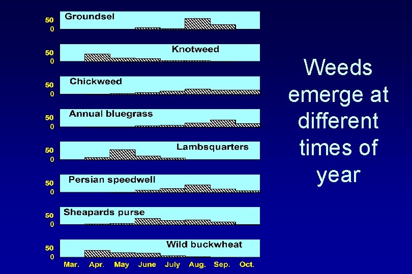 Weeds emerge at different times of year 
