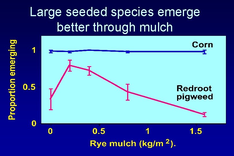Large seeded species emerge better through mulch 