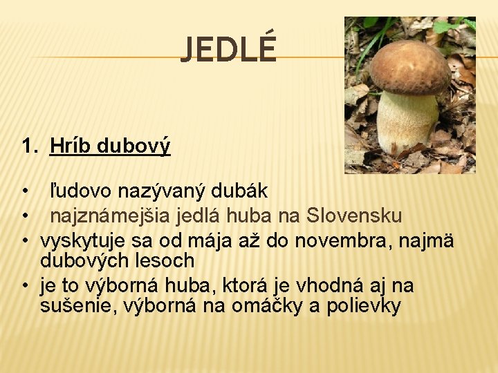 JEDLÉ 1. Hríb dubový • ľudovo nazývaný dubák • najznámejšia jedlá huba na Slovensku