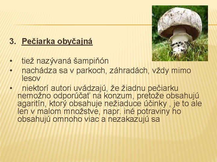 3. Pečiarka obyčajná • • tiež nazývaná šampiňón nachádza sa v parkoch, záhradách, vždy