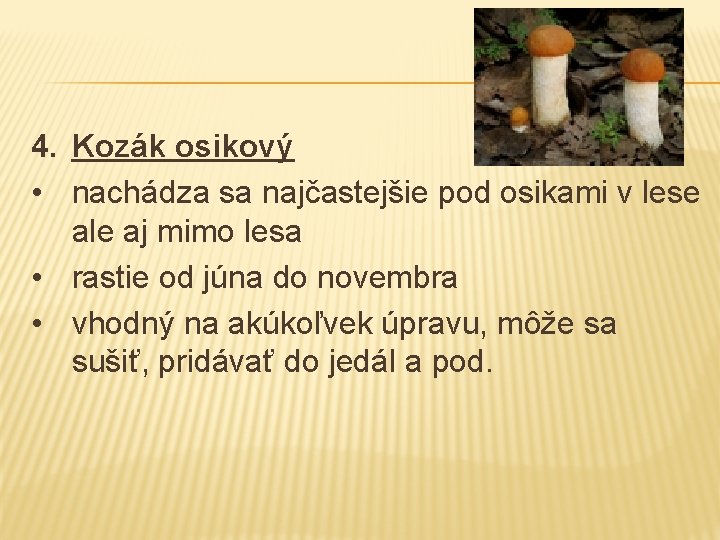 4. Kozák osikový • nachádza sa najčastejšie pod osikami v lese ale aj mimo