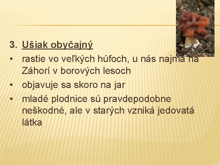 3. Ušiak obyčajný • rastie vo veľkých húfoch, u nás najmä na Záhorí v