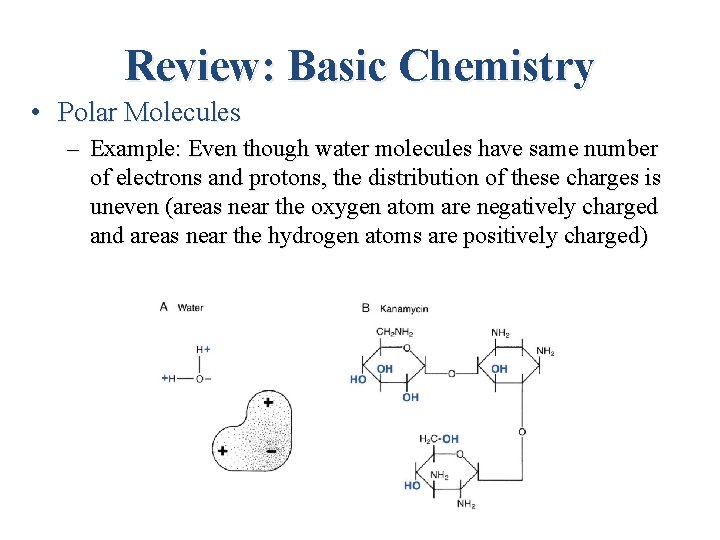 Review: Basic Chemistry • Polar Molecules – Example: Even though water molecules have same