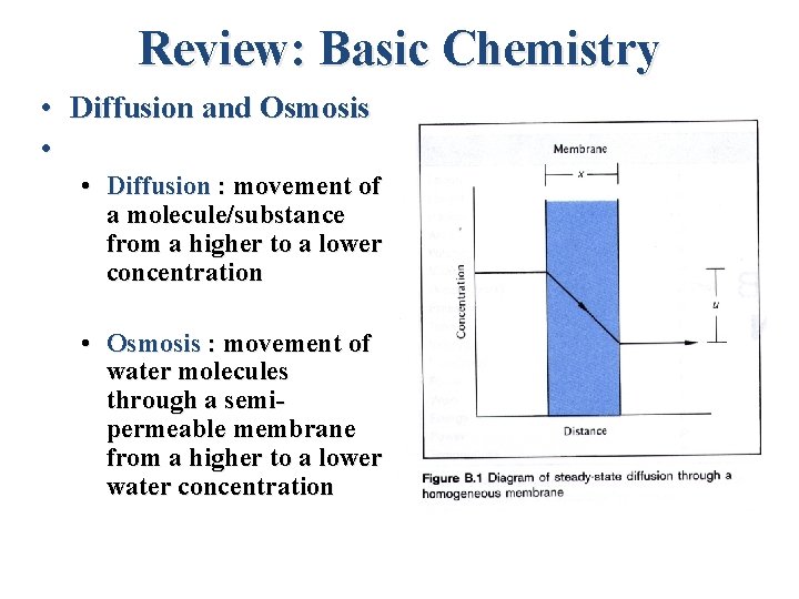 Review: Basic Chemistry • Diffusion and Osmosis • • Diffusion : movement of a