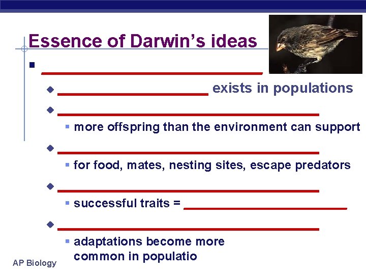 Essence of Darwin’s ideas § _____________ exists in populations u _________________ u § more