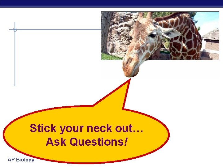 Stick your neck out… Ask Questions! AP Biology 