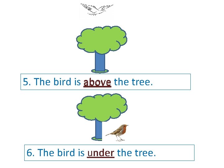 5. The bird is above the tree. 6. The bird is under the tree.