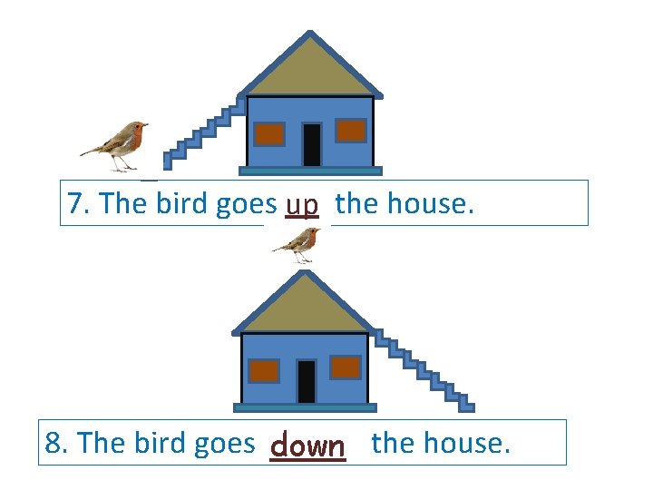 7. The bird goes up the house. 8. The bird goes down the house.