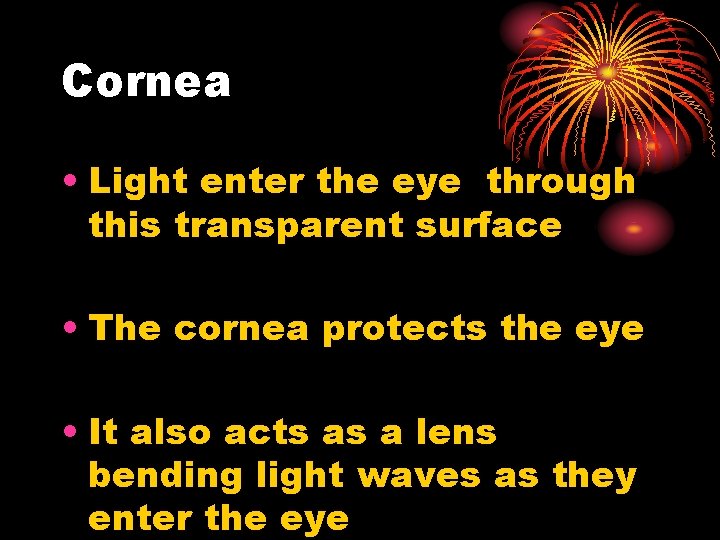 Cornea • Light enter the eye through this transparent surface • The cornea protects