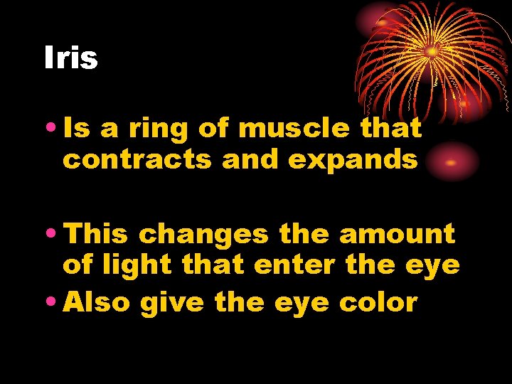 Iris • Is a ring of muscle that contracts and expands • This changes