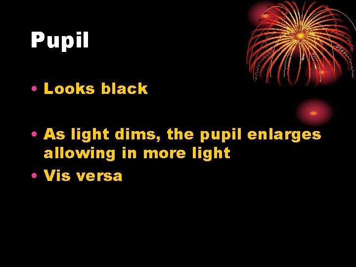 Pupil • Looks black • As light dims, the pupil enlarges allowing in more