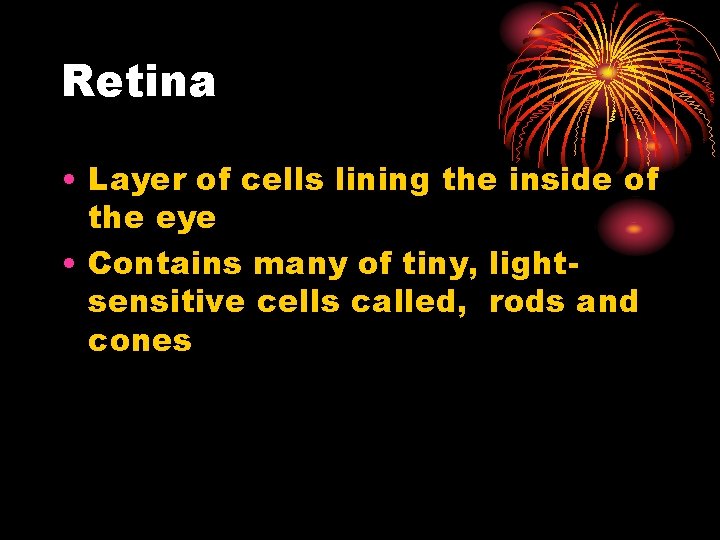 Retina • Layer of cells lining the inside of the eye • Contains many