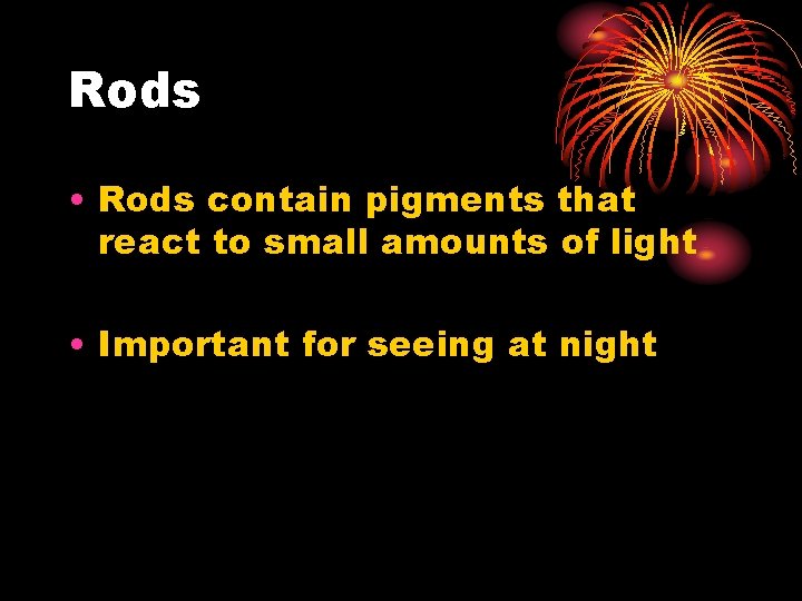 Rods • Rods contain pigments that react to small amounts of light • Important