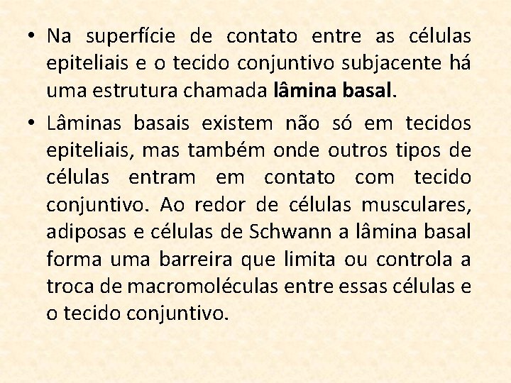  • Na superfície de contato entre as células epiteliais e o tecido conjuntivo