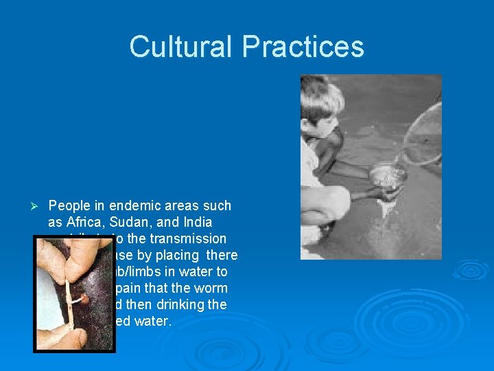 Cultural Practices Ø People in endemic areas such as Africa, Sudan, and India contribute