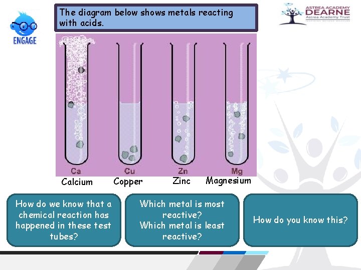 The diagram below shows metals reacting with acids. Calcium How do we know that