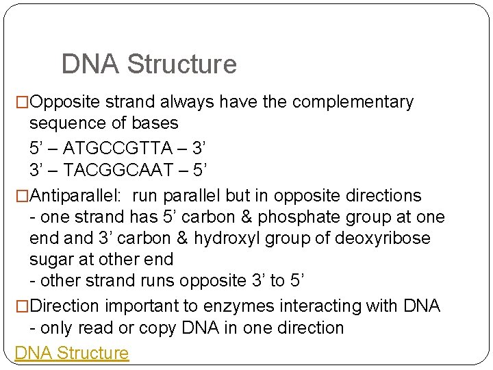 DNA Structure �Opposite strand always have the complementary sequence of bases 5’ – ATGCCGTTA