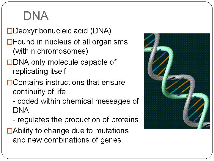 DNA �Deoxyribonucleic acid (DNA) �Found in nucleus of all organisms (within chromosomes) �DNA only