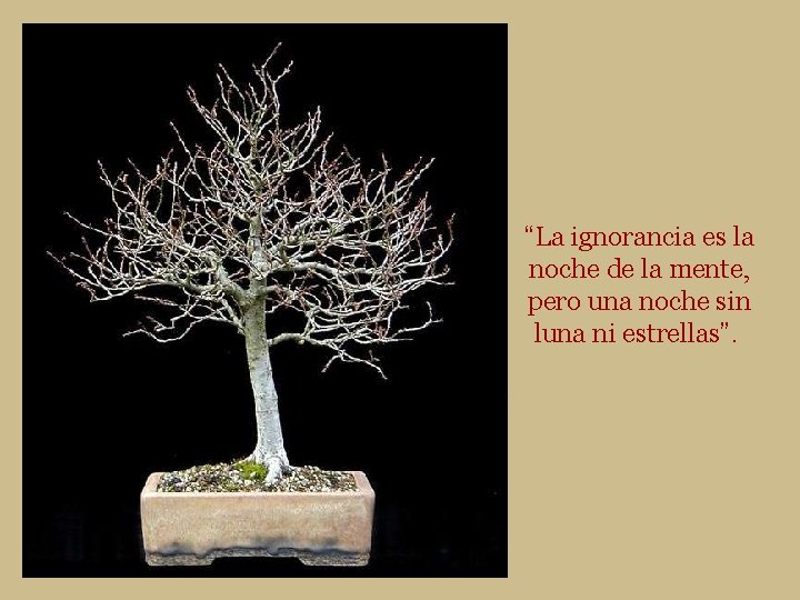 “La ignorancia es la noche de la mente, pero una noche sin luna ni