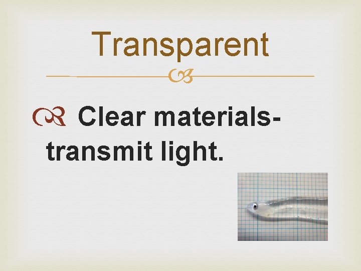 Transparent Clear materialstransmit light. 