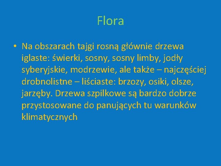 Flora • Na obszarach tajgi rosną głównie drzewa iglaste: świerki, sosny limby, jodły syberyjskie,