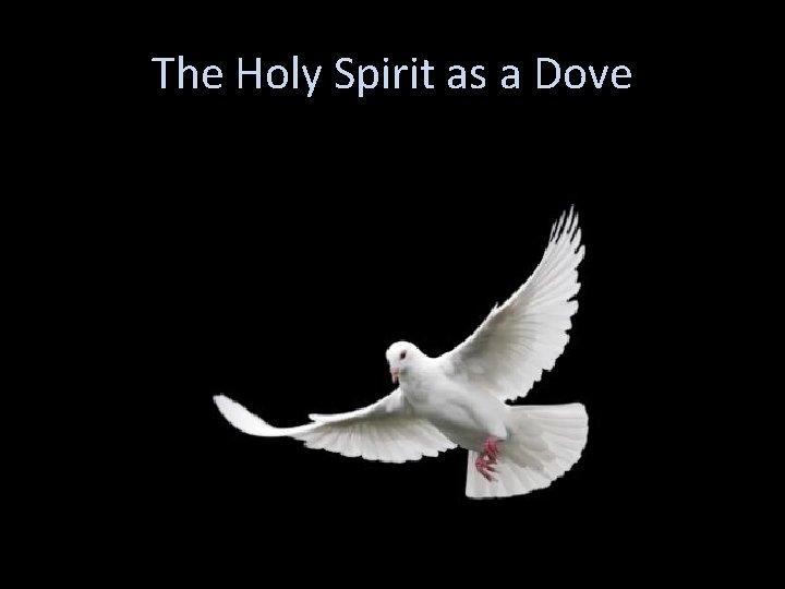 The Holy Spirit as a Dove 