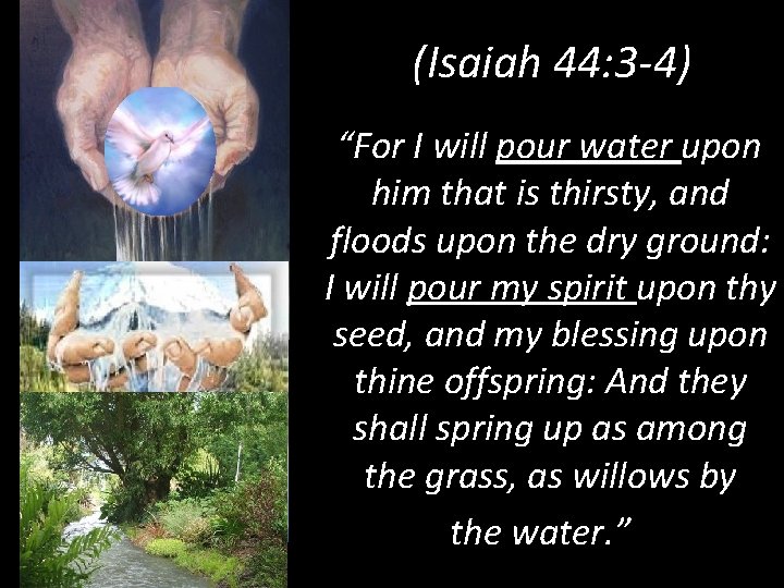 (Isaiah 44: 3 -4) “For I will pour water upon him that is thirsty,