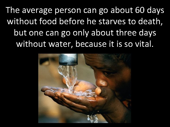 The average person can go about 60 days without food before he starves to