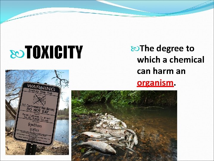  TOXICITY The degree to which a chemical can harm an organism. 