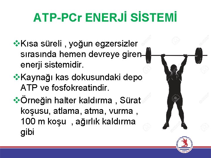 ATP-PCr ENERJİ SİSTEMİ v. Kısa süreli , yoğun egzersizler sırasında hemen devreye giren enerji