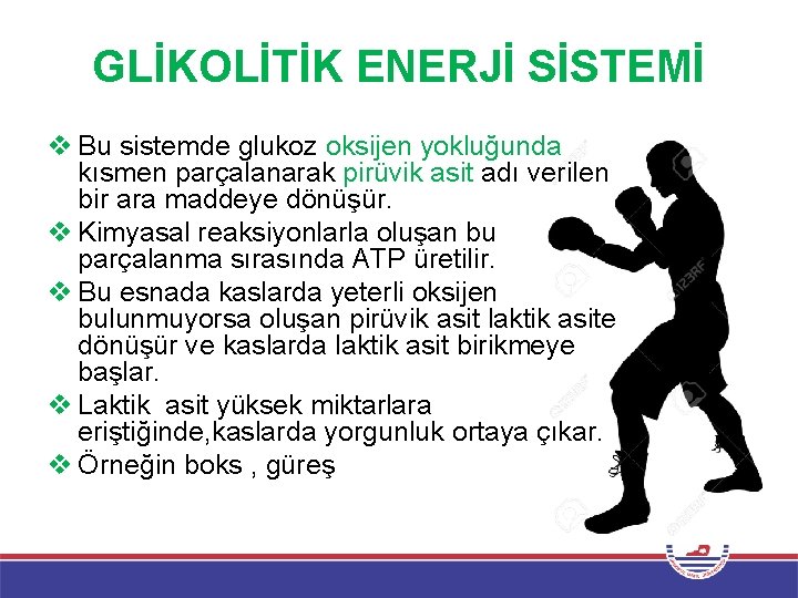 GLİKOLİTİK ENERJİ SİSTEMİ v Bu sistemde glukoz oksijen yokluğunda kısmen parçalanarak pirüvik asit adı