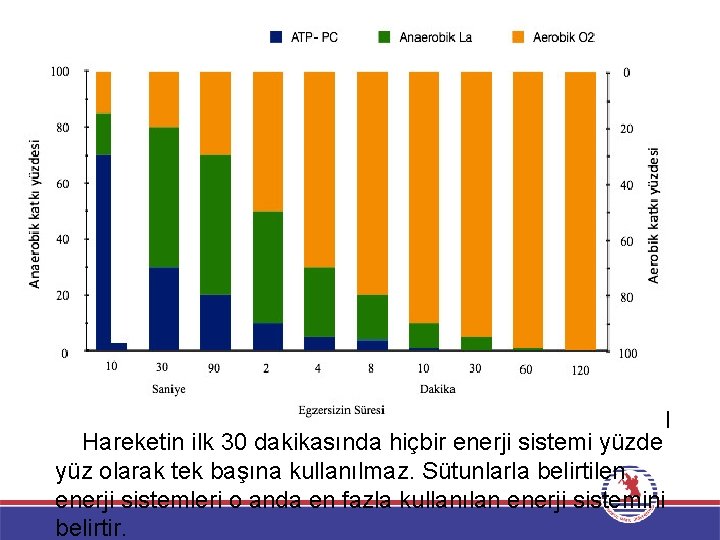 Hareketin ilk 30 dakikasında hiçbir enerji sistemi yüzde yüz olarak tek başına kullanılmaz. Sütunlarla