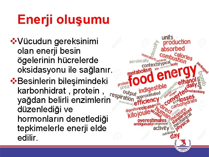 Enerji oluşumu v. Vücudun gereksinimi olan enerji besin ögelerinin hücrelerde oksidasyonu ile sağlanır. v.