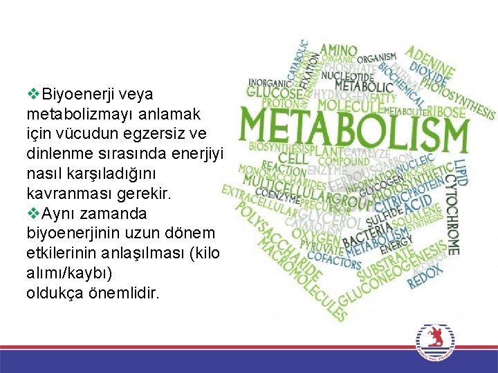v. Biyoenerji veya metabolizmayı anlamak için vücudun egzersiz ve dinlenme sırasında enerjiyi nasıl karşıladığını