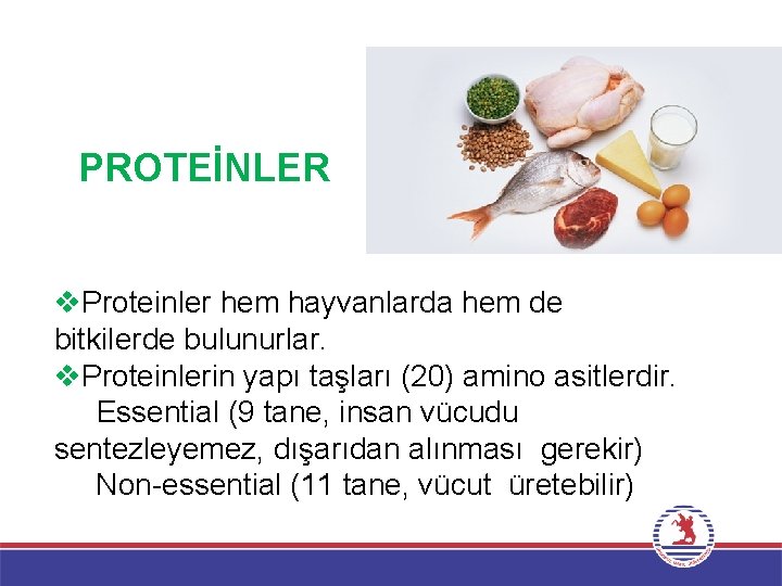 PROTEİNLER v. Proteinler hem hayvanlarda hem de bitkilerde bulunurlar. v. Proteinlerin yapı taşları (20)