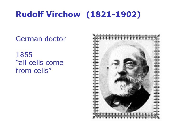 Rudolf Virchow (1821 -1902) German doctor 1855 “all cells come from cells” 