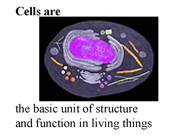 Cells are the basic unit of structure and function in living things 