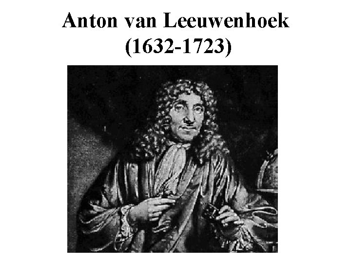 Anton van Leeuwenhoek (1632 -1723) 