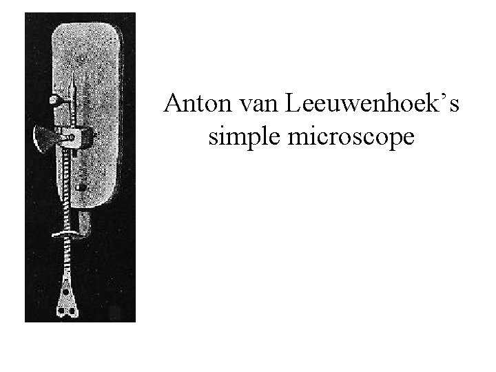 Anton van Leeuwenhoek’s simple microscope 