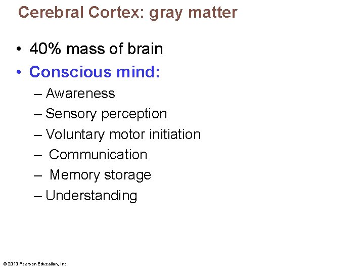 Cerebral Cortex: gray matter • 40% mass of brain • Conscious mind: – Awareness