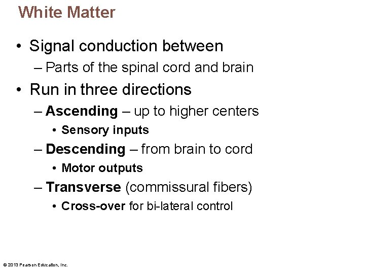 White Matter • Signal conduction between – Parts of the spinal cord and brain