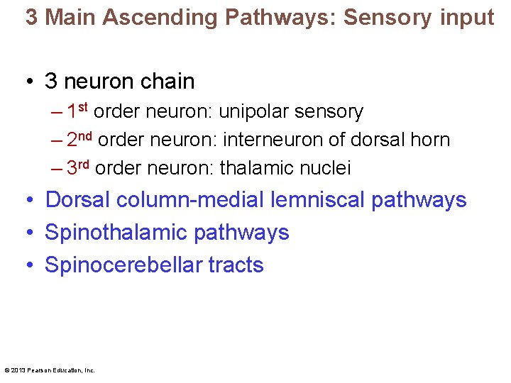 3 Main Ascending Pathways: Sensory input • 3 neuron chain – 1 st order