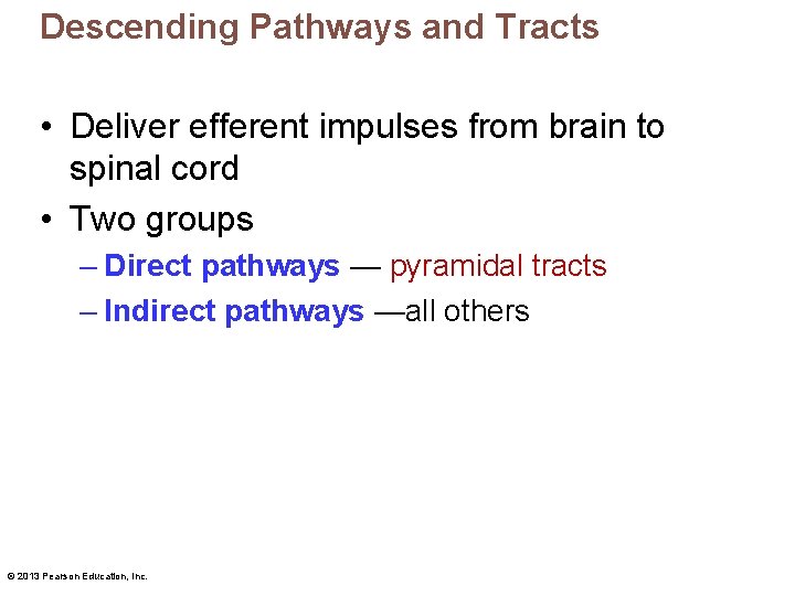 Descending Pathways and Tracts • Deliver efferent impulses from brain to spinal cord •