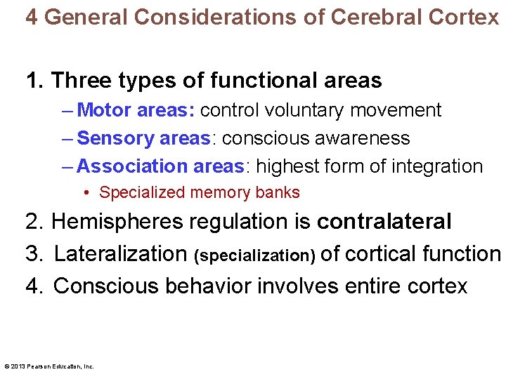 4 General Considerations of Cerebral Cortex 1. Three types of functional areas – Motor