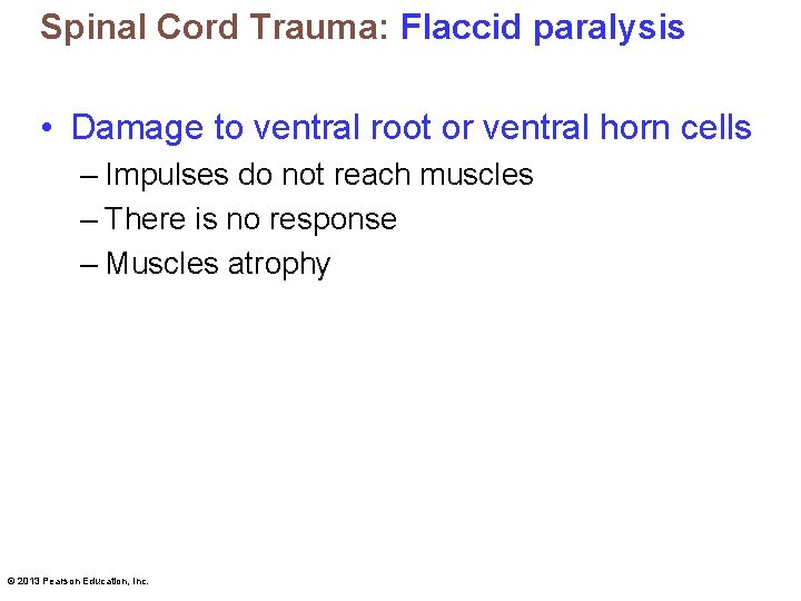 Spinal Cord Trauma: Flaccid paralysis • Damage to ventral root or ventral horn cells