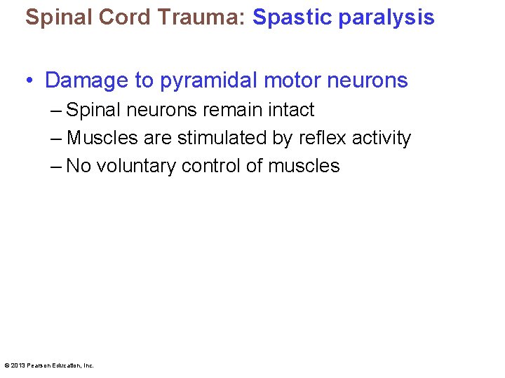 Spinal Cord Trauma: Spastic paralysis • Damage to pyramidal motor neurons – Spinal neurons