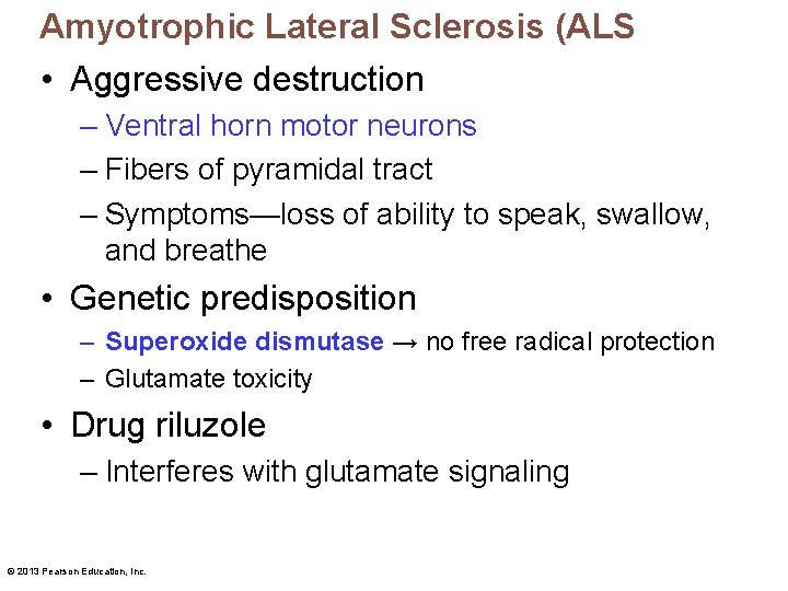 Amyotrophic Lateral Sclerosis (ALS • Aggressive destruction – Ventral horn motor neurons – Fibers