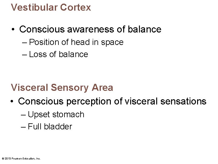 Vestibular Cortex • Conscious awareness of balance – Position of head in space –