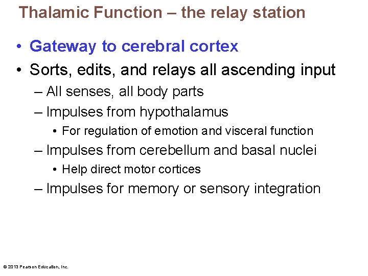 Thalamic Function – the relay station • Gateway to cerebral cortex • Sorts, edits,